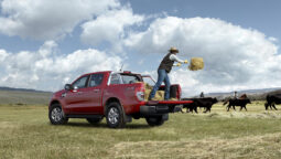 RANGER DIESEL XLT 4X4 2023 lleno
