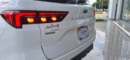 FORD TERRITORY TITANIUM lleno