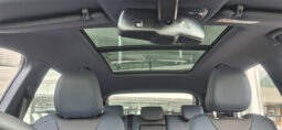 FORD TERRITORY TITANIUM lleno