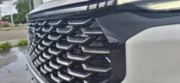 FORD TERRITORY TREND lleno