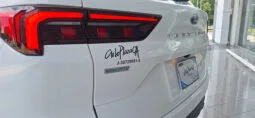 FORD TERRITORY TREND lleno
